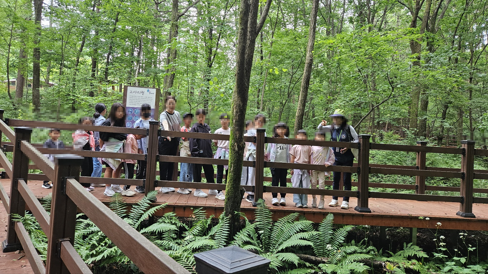 횡성 숲체원 나눔의 숲 프로그램 참여
